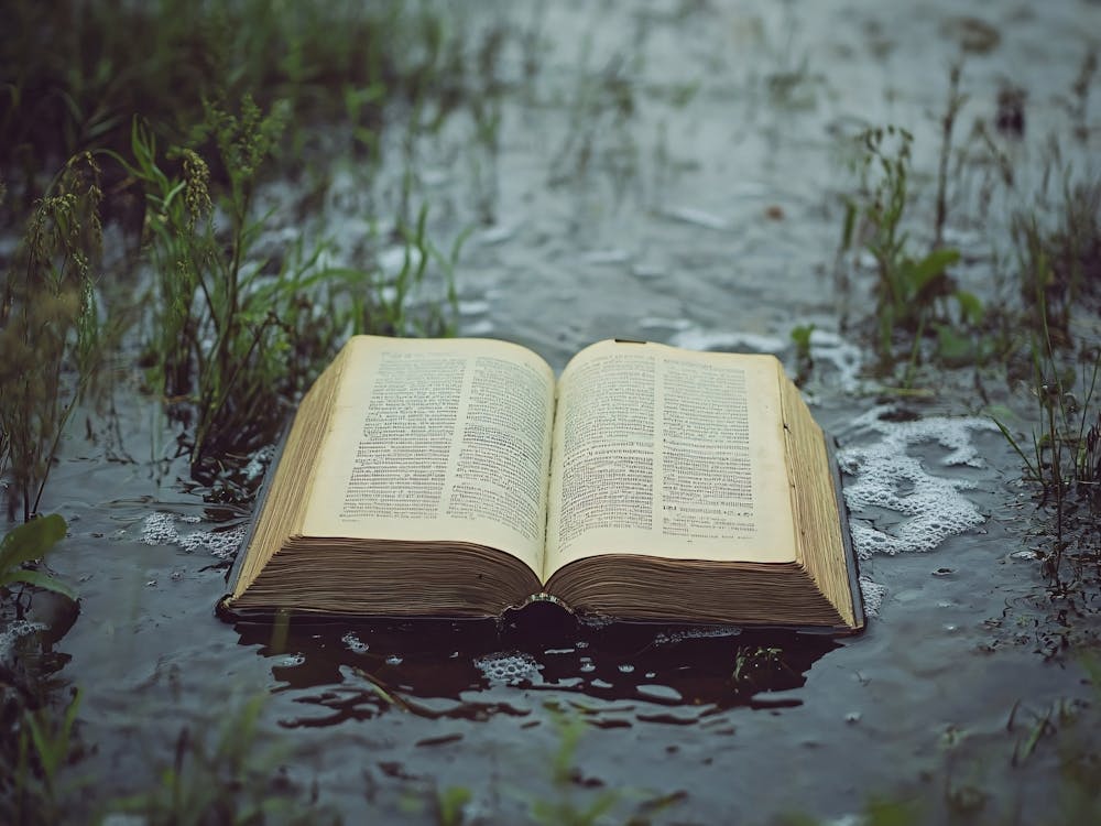 Open Book In Water