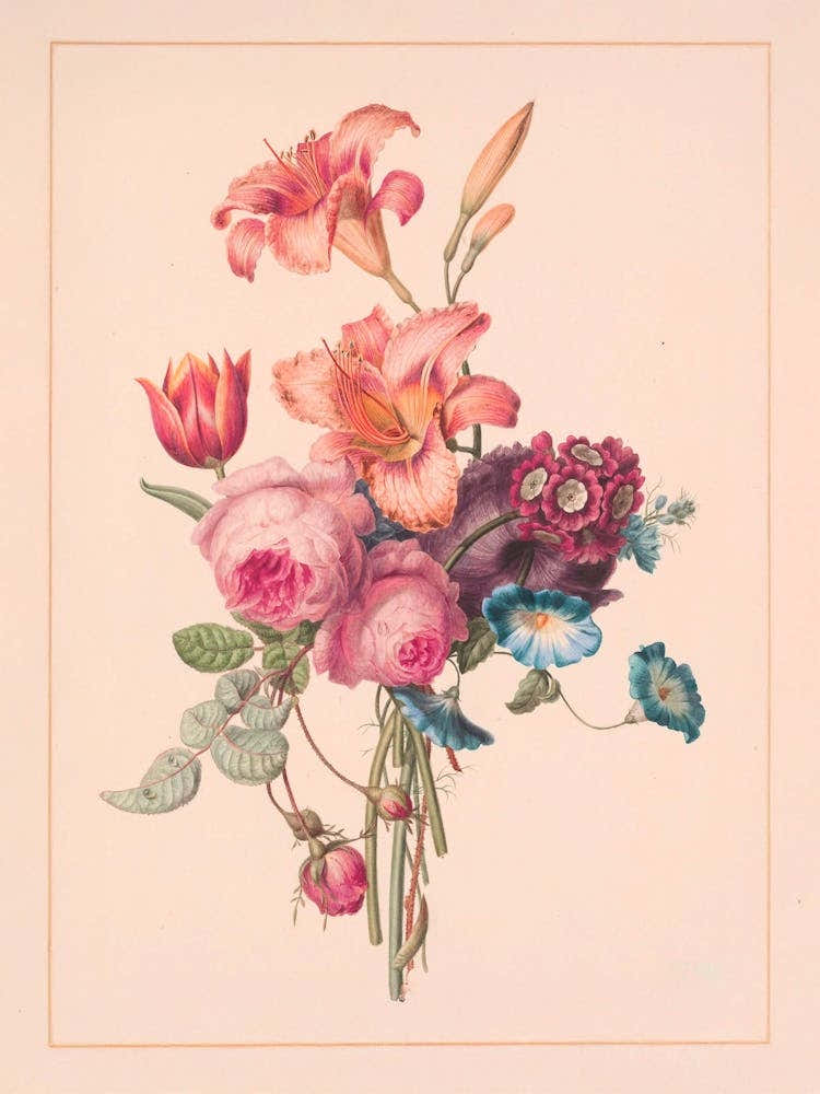 Vintage Retro Botanical Flower Illustration 3