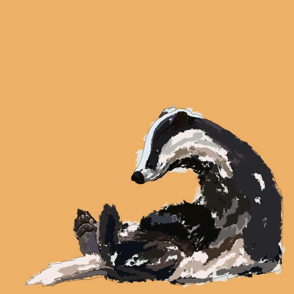Badge the Badger