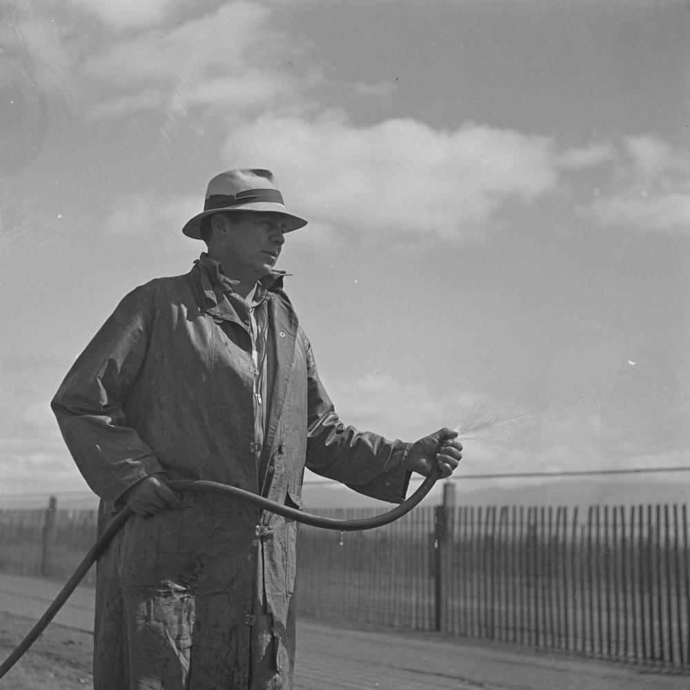 Salinas, California, Irrigator At Guayule Nursery By Russell Lee