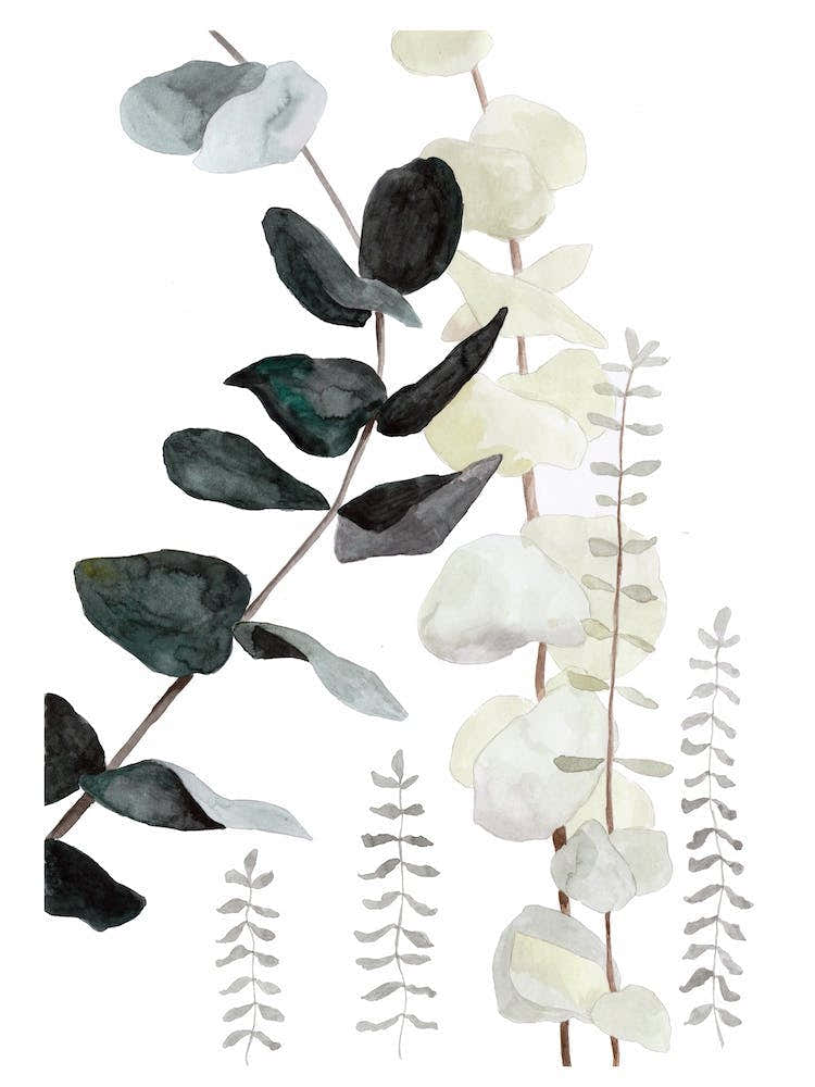 Botanical Illustration Plant Mix2