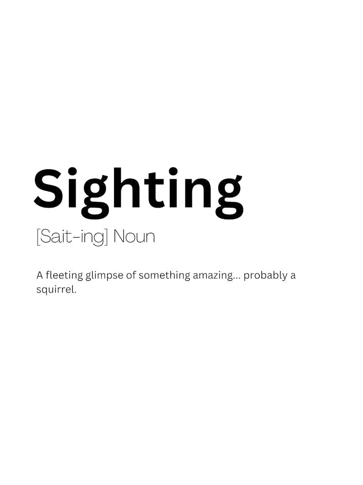Sighting Definition Meaning 1
