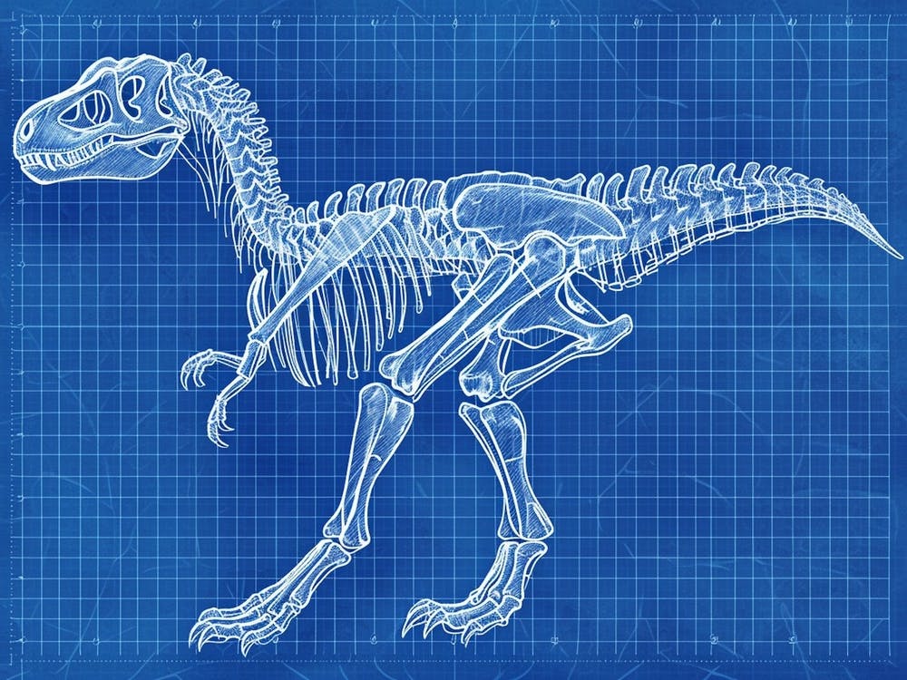 Maiasaura Skeleton Hand Drawn Blueprint 2
