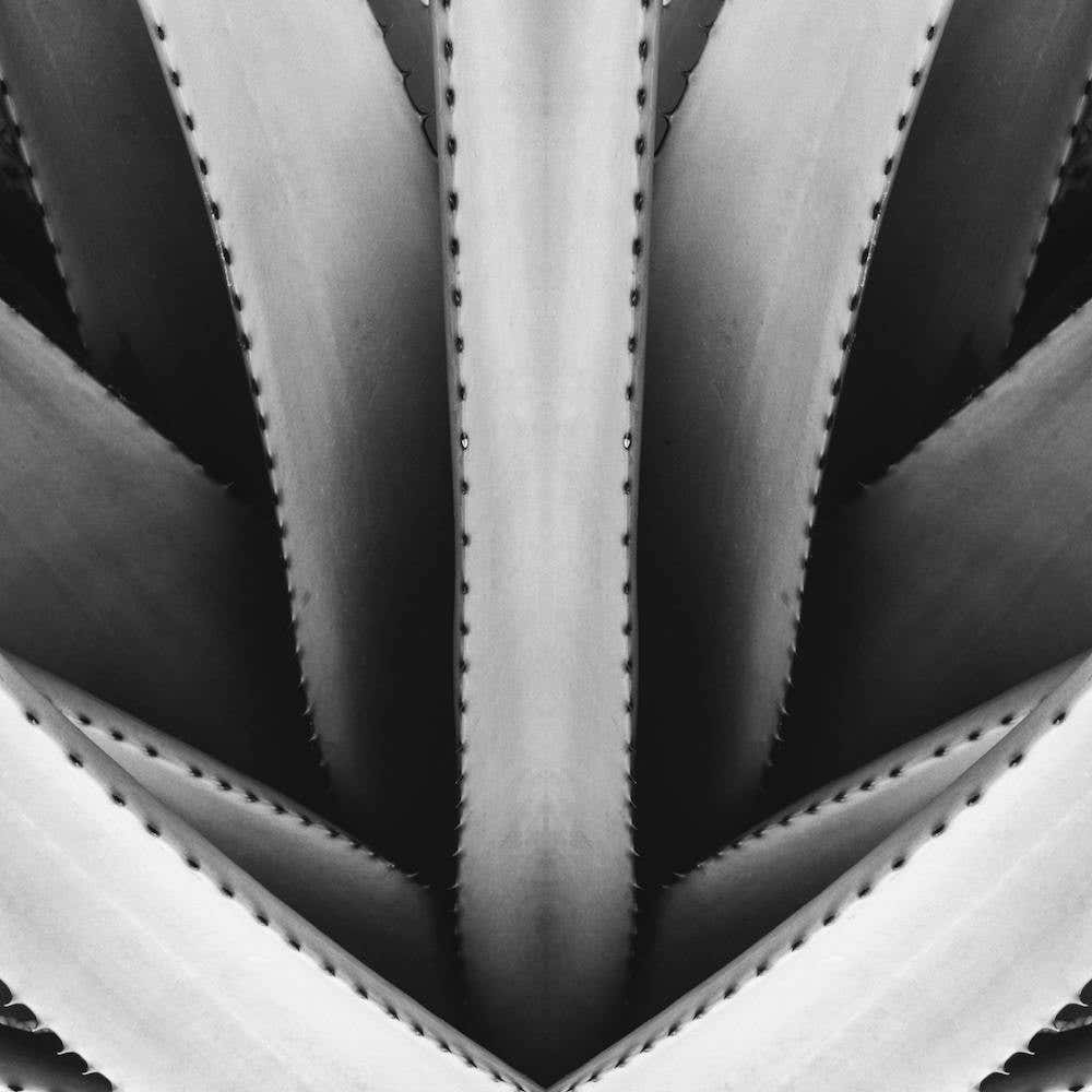 Stuck In The Middle Bw