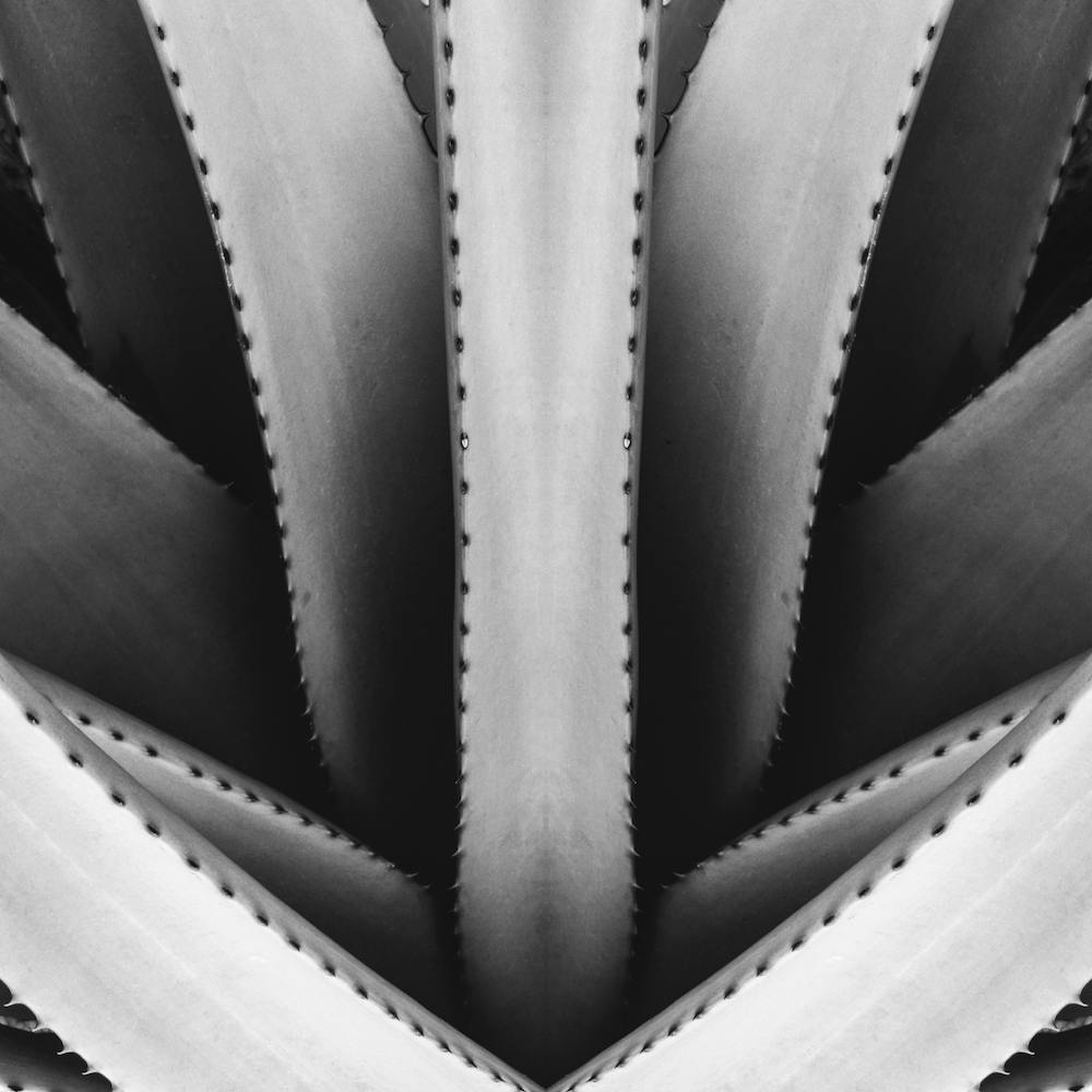 Stuck In The Middle Bw