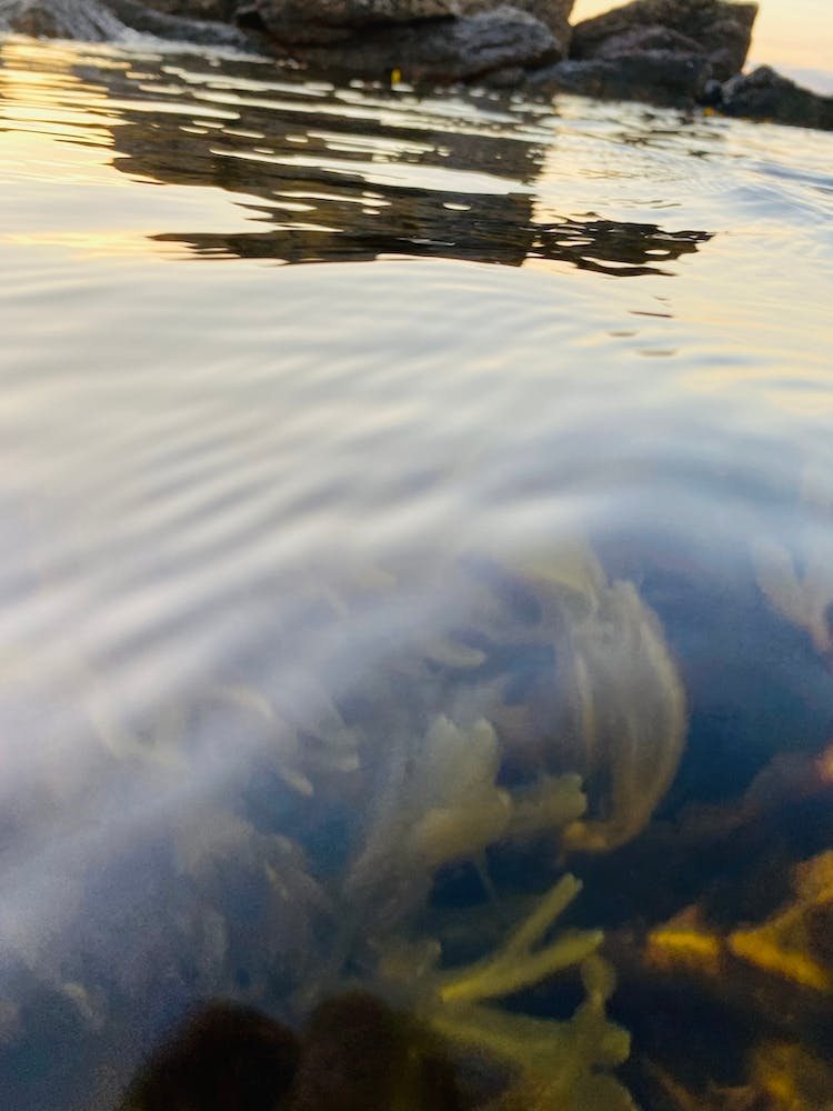 Ad4b0f32 F202 4304 8fd1 Af10b2f77993