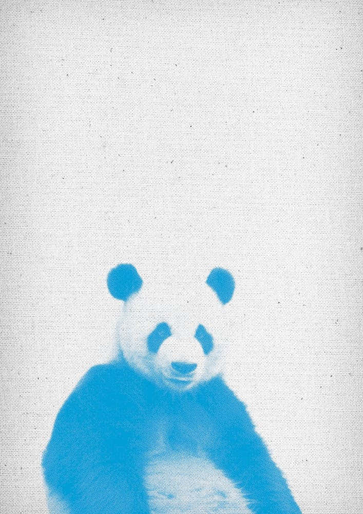 Frolein Panda I