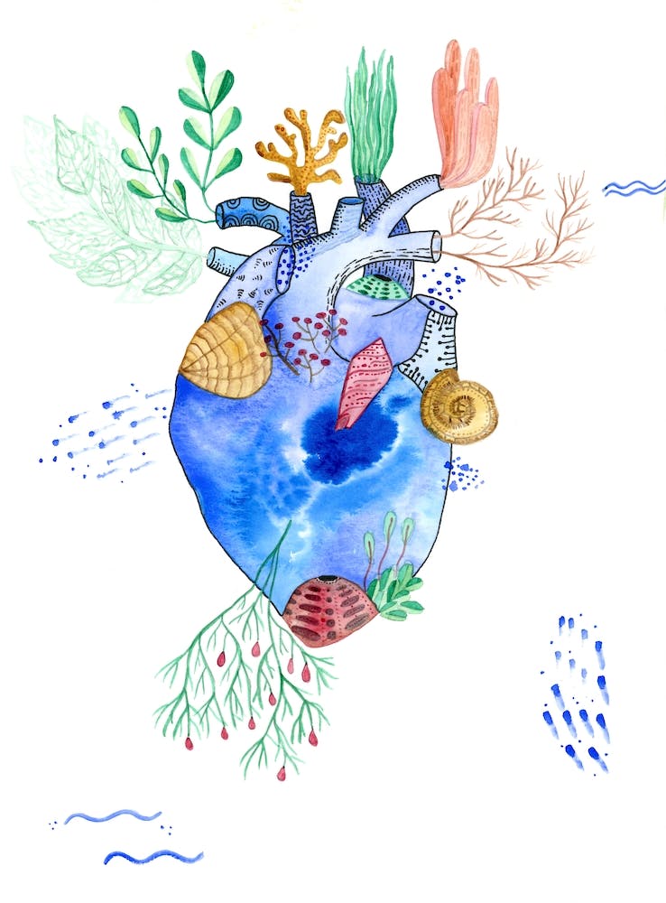 Heart Of The Sea
