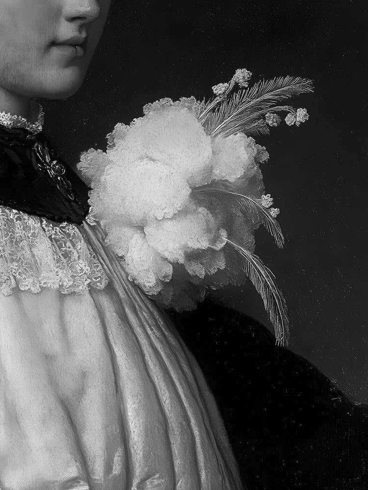 Portrait Of A Lady 1