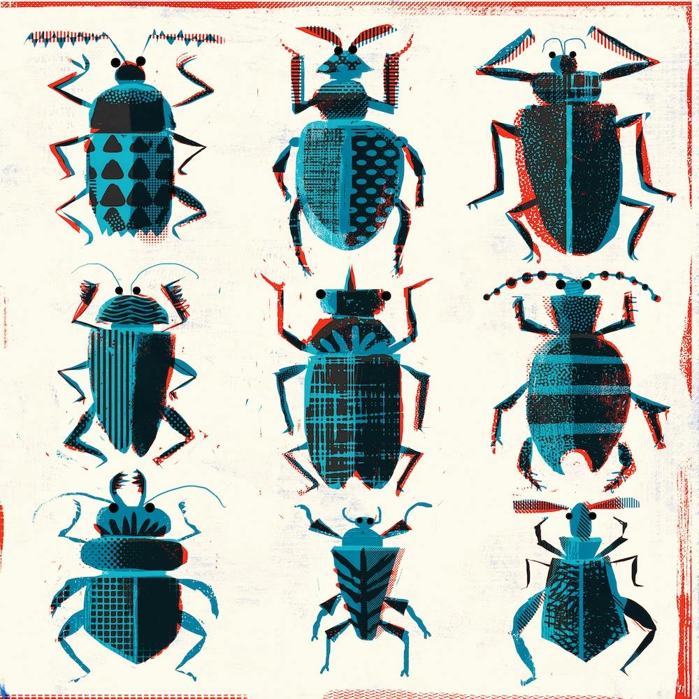 Bugs Square