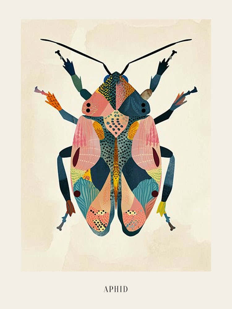 Colourful Insect Illustration Aphid 13 Poster