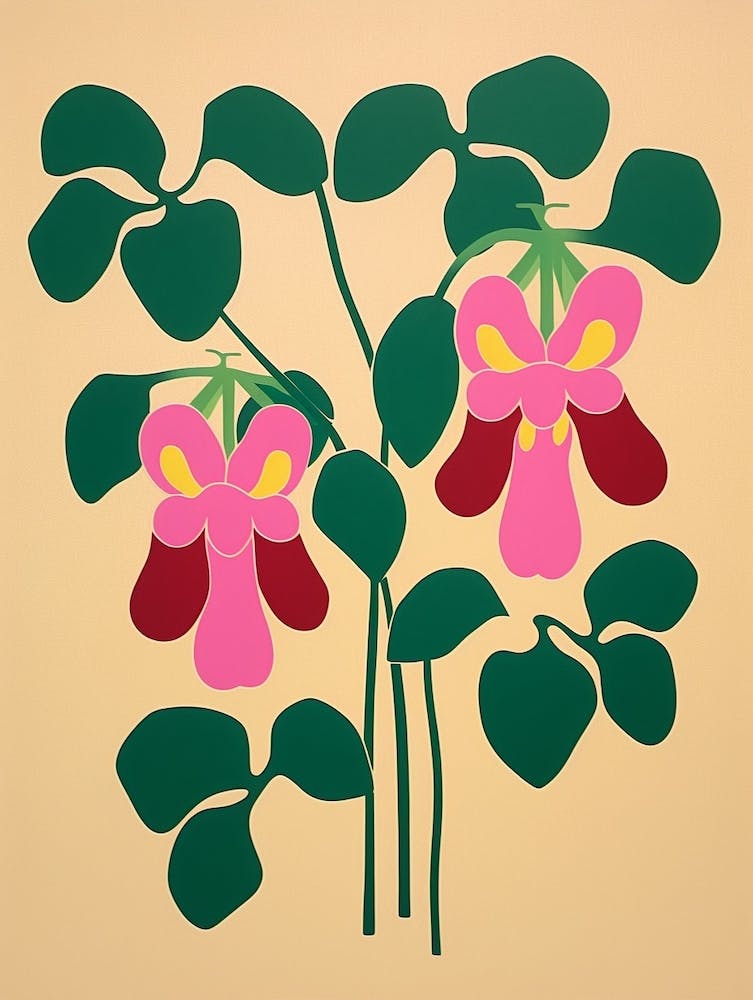 Cut Out Style Flower Art Bleeding Heart Dicentra 2