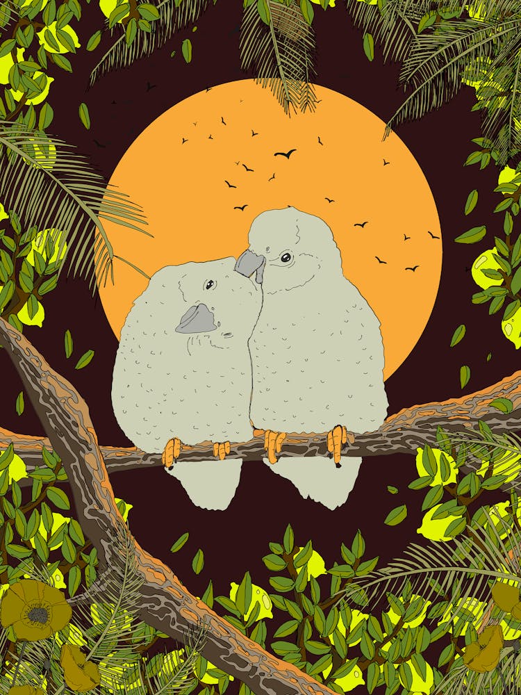 Asia Love Birds