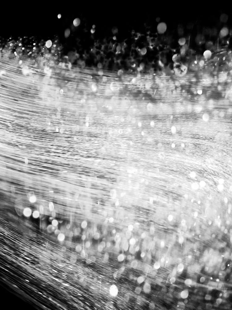 Black And White Photo 2