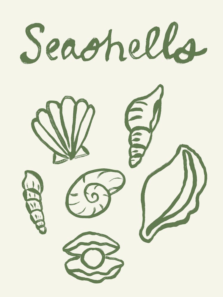 Seashell Doodles, Seashell Line Art, Minimalism Seashell Design 10