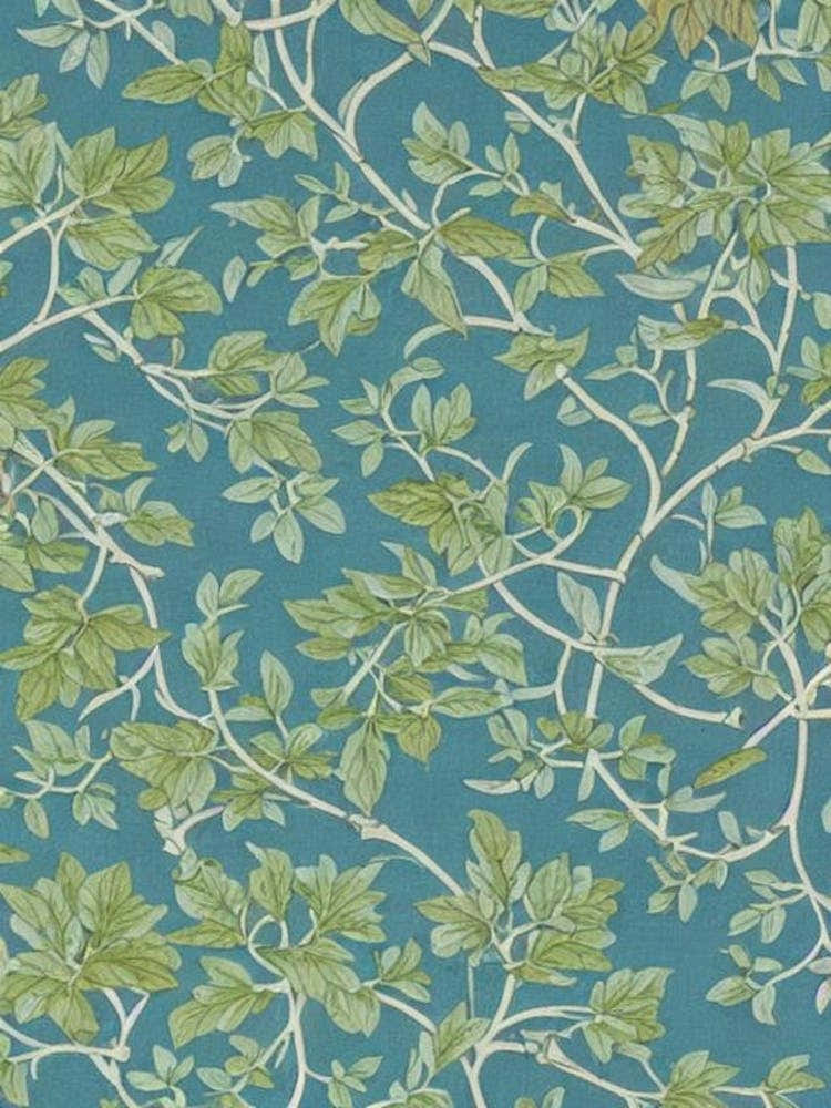 Goldenrain Tree tree Vintage Botanical