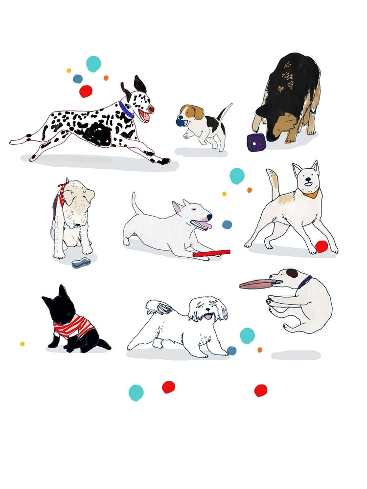 Playing Dogs