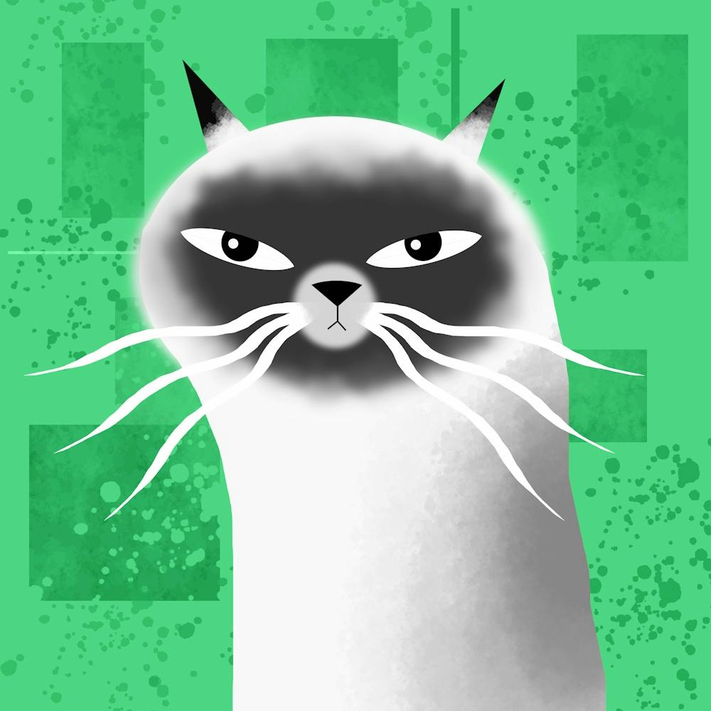 Cat with Attitude