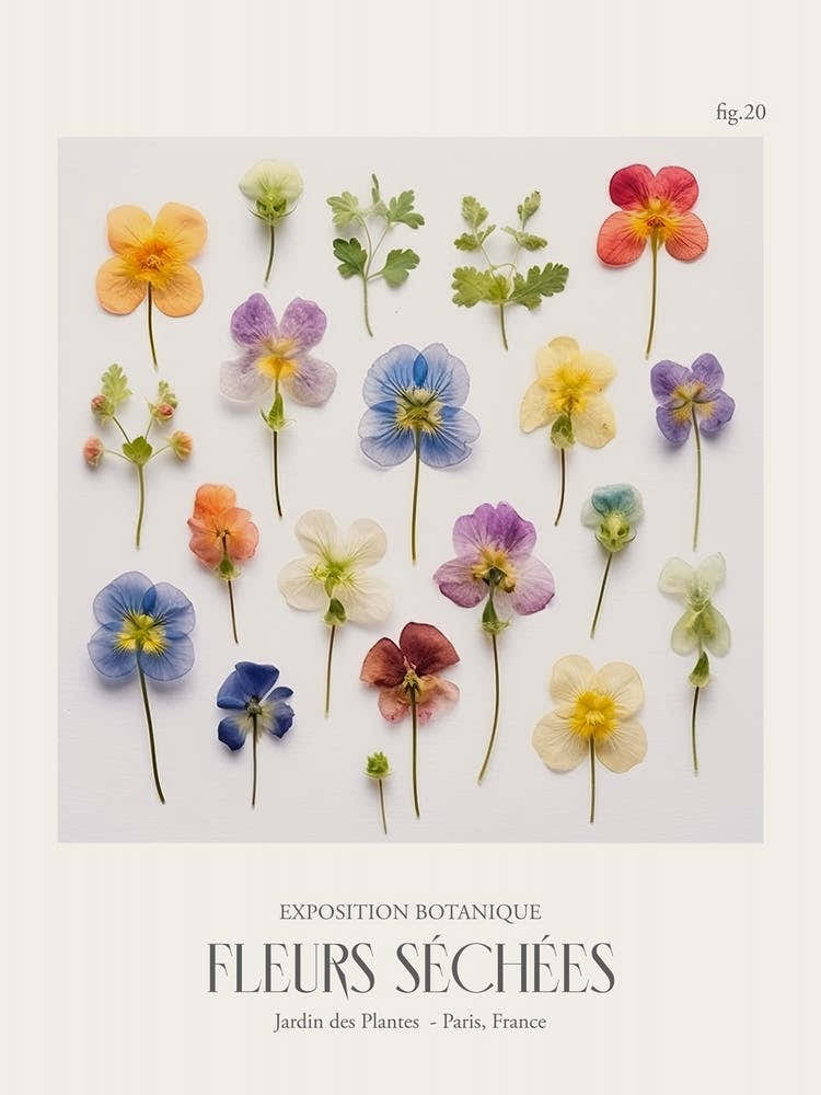 Fleurs Sechees, Dried Flowers Exhibition Poster 20