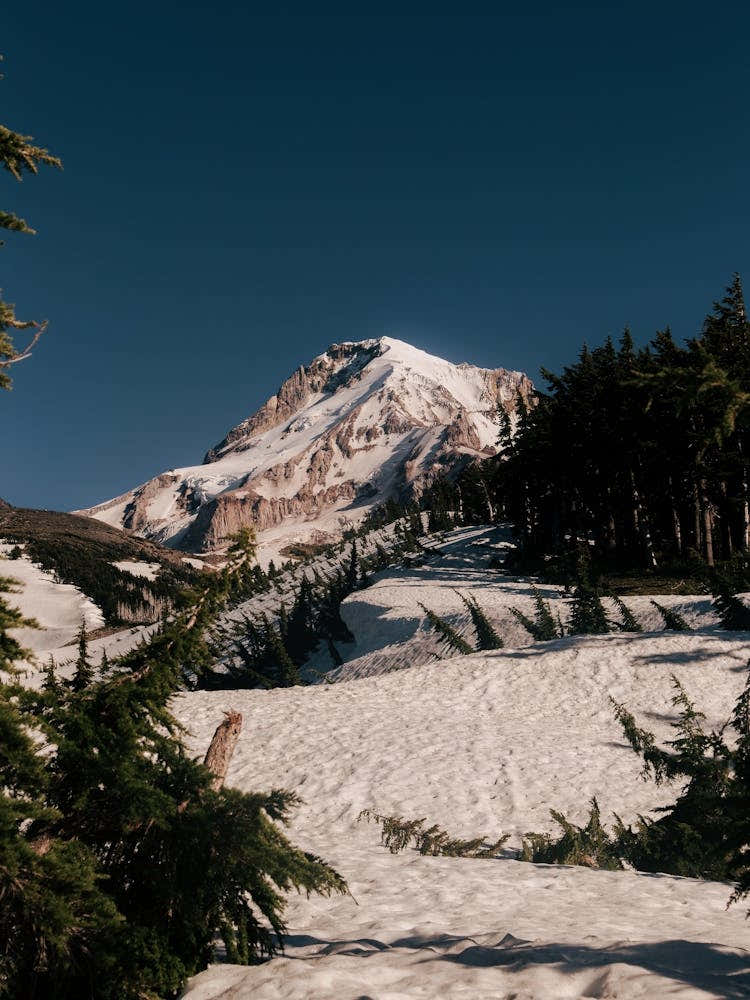 Snowy Mount Hood