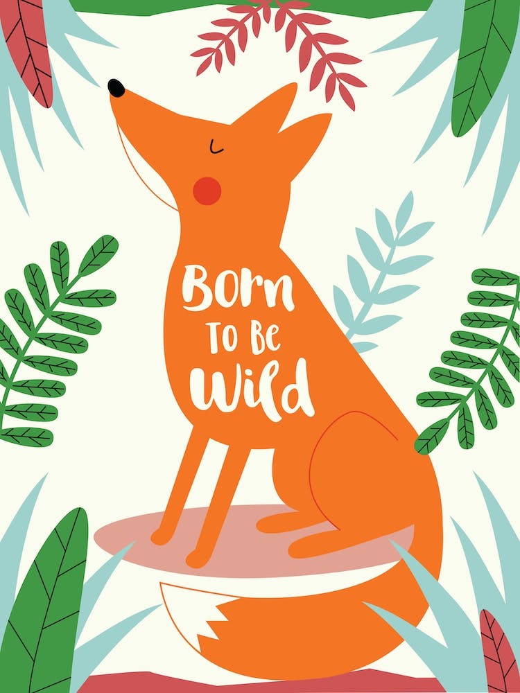 Born To Be Wild Fox
