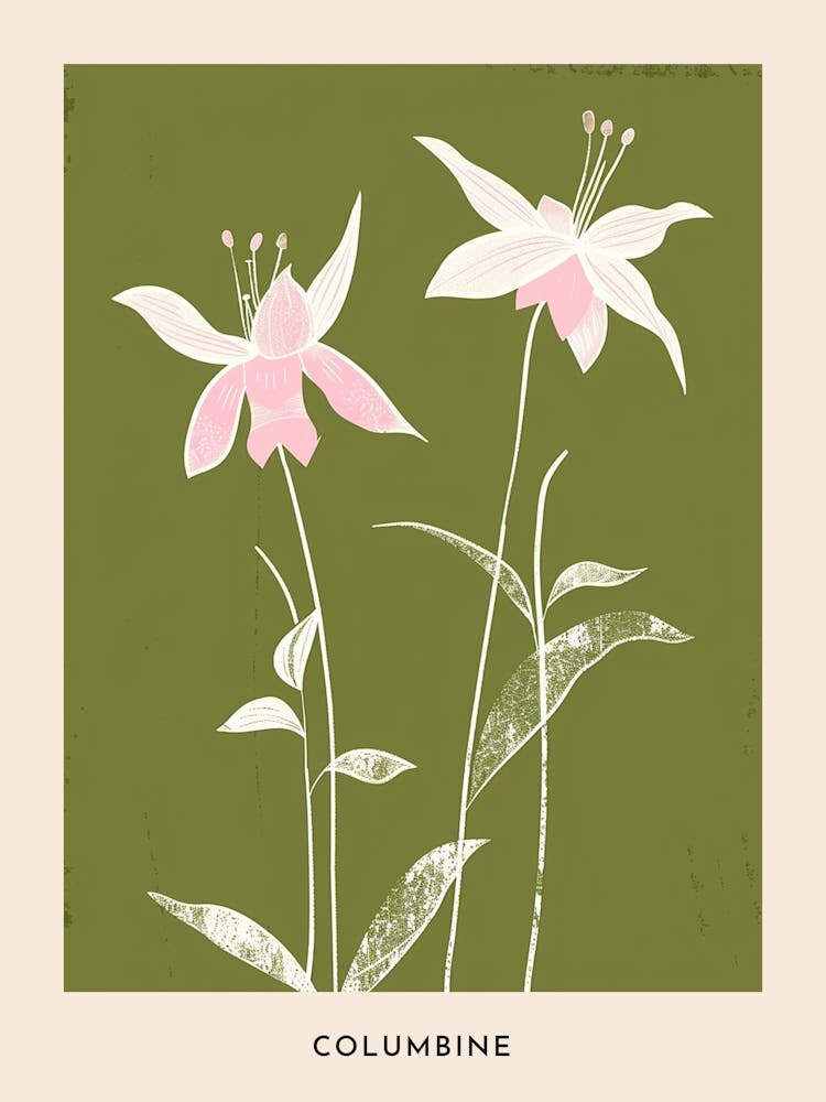 Pink & Green Columbine 2 Flower Poster