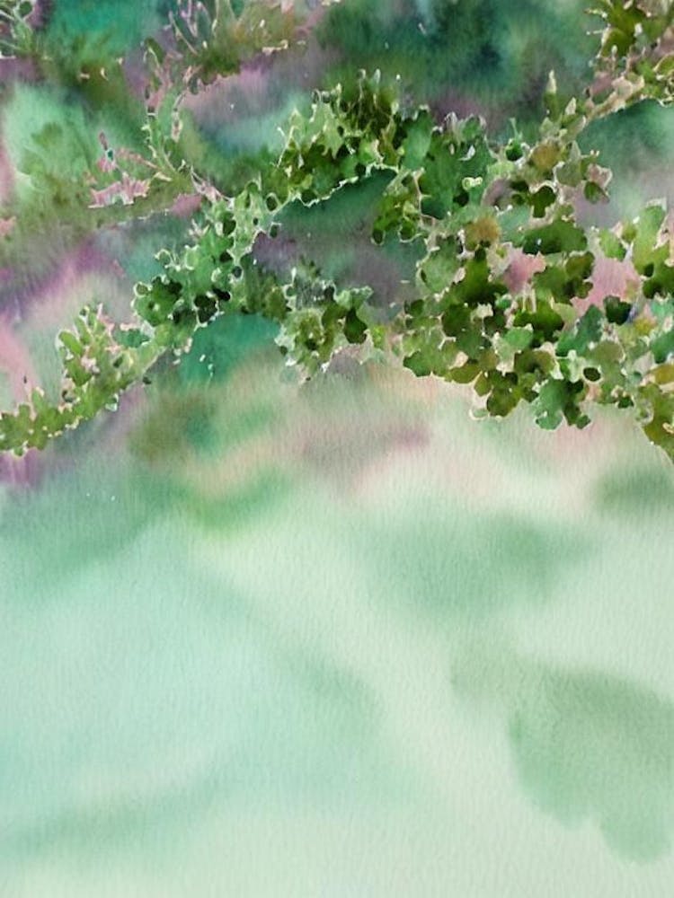 Acropora Jacquelineae Iii Storybook Watercolour