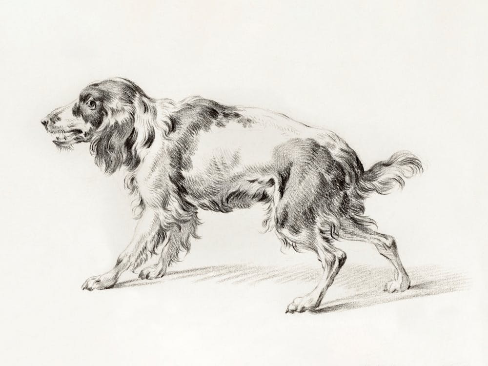 Standing Barking Dog, Jean Bernard