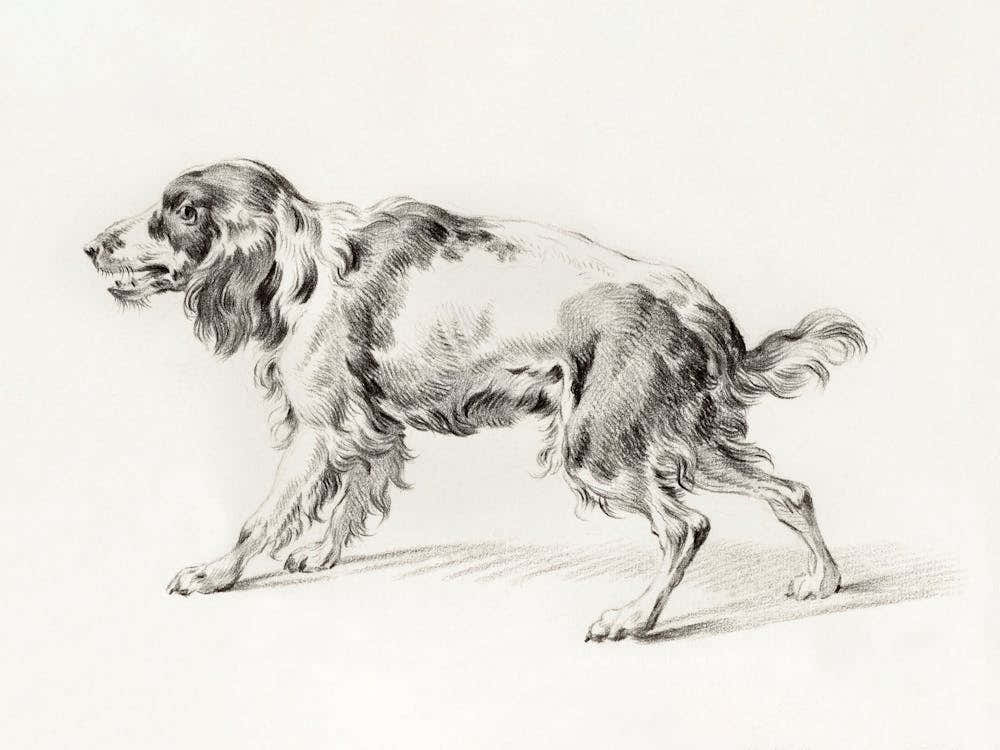 Standing Barking Dog, Jean Bernard