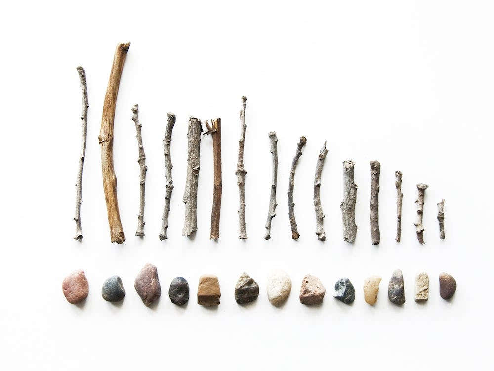 Rocks & Twigs