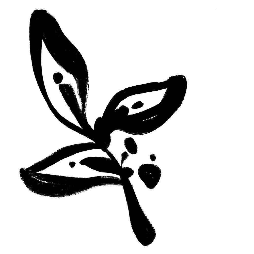 Leaf In Black And White