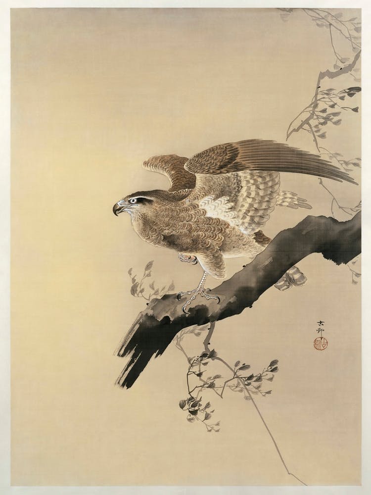 Hawk (1887 1945), Ohara Koson