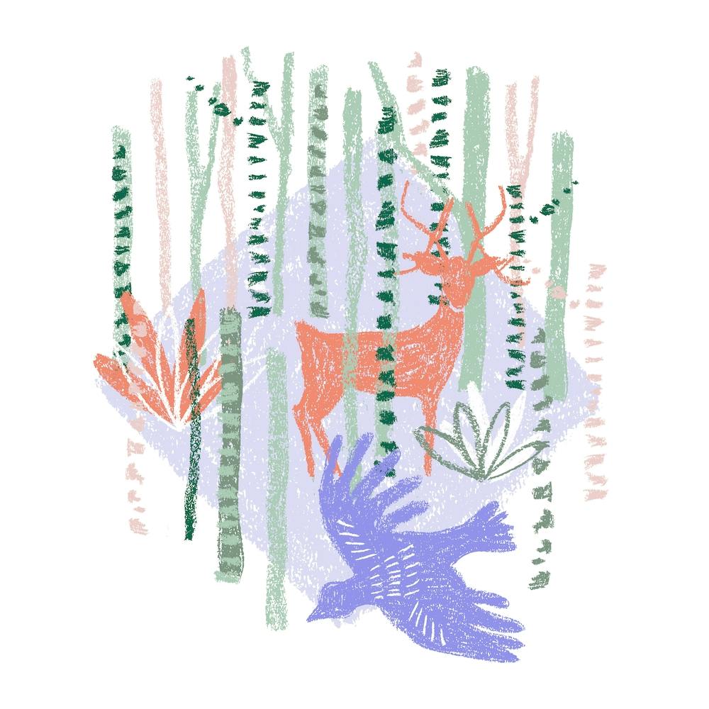 The Bird and the Deer