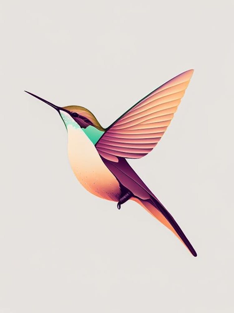 Anna S Hummingbird Retro Minimal 1