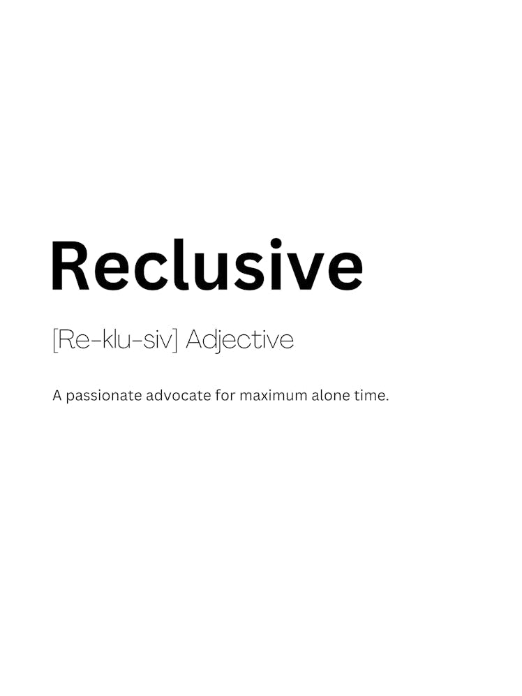 Reclusive Definition Meaning 1