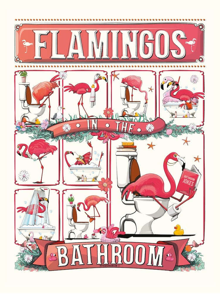 Flamingos