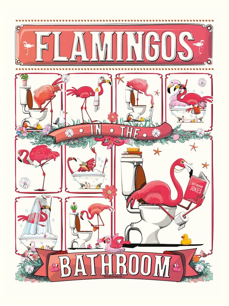 Flamingos