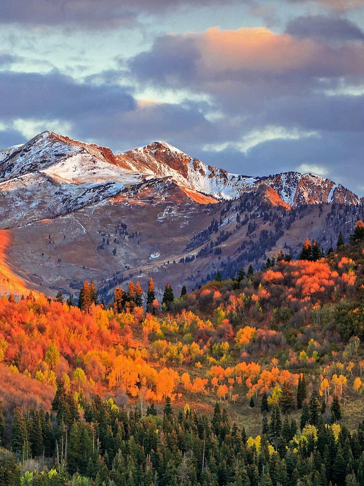 Autumn In Utah