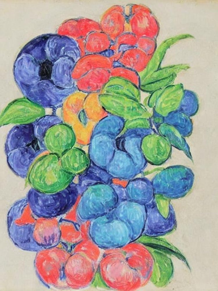 Ackee Vintage Sketch Fruit