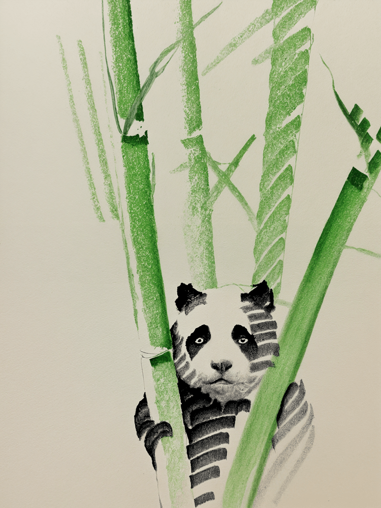 Panda Sketch no1