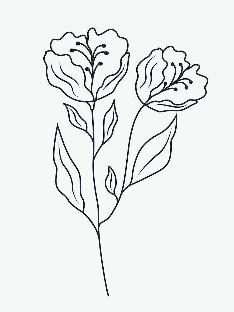 Line Drawing Of Flowers