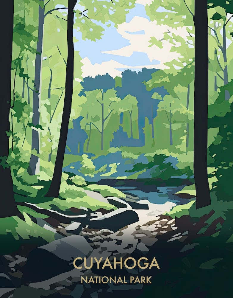 Cuyahoga National Park Travel Poster Matisse Style 2