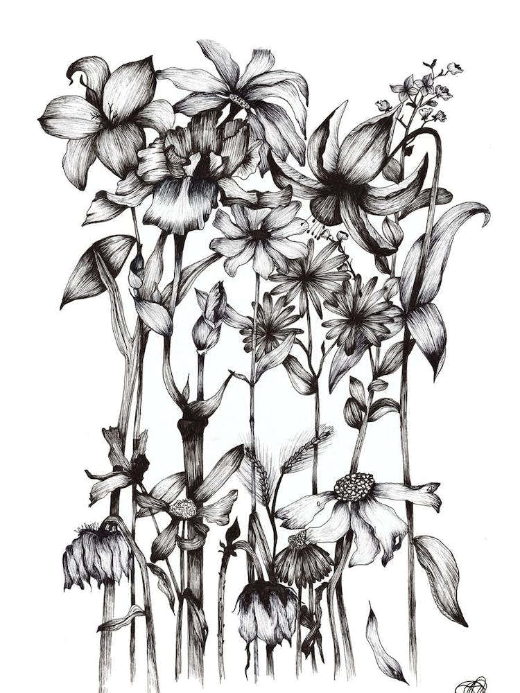 Black and White Daisy Bouquet