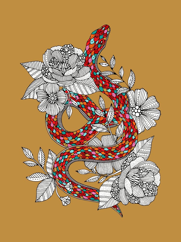 Year Of The Snake Ochre Bk