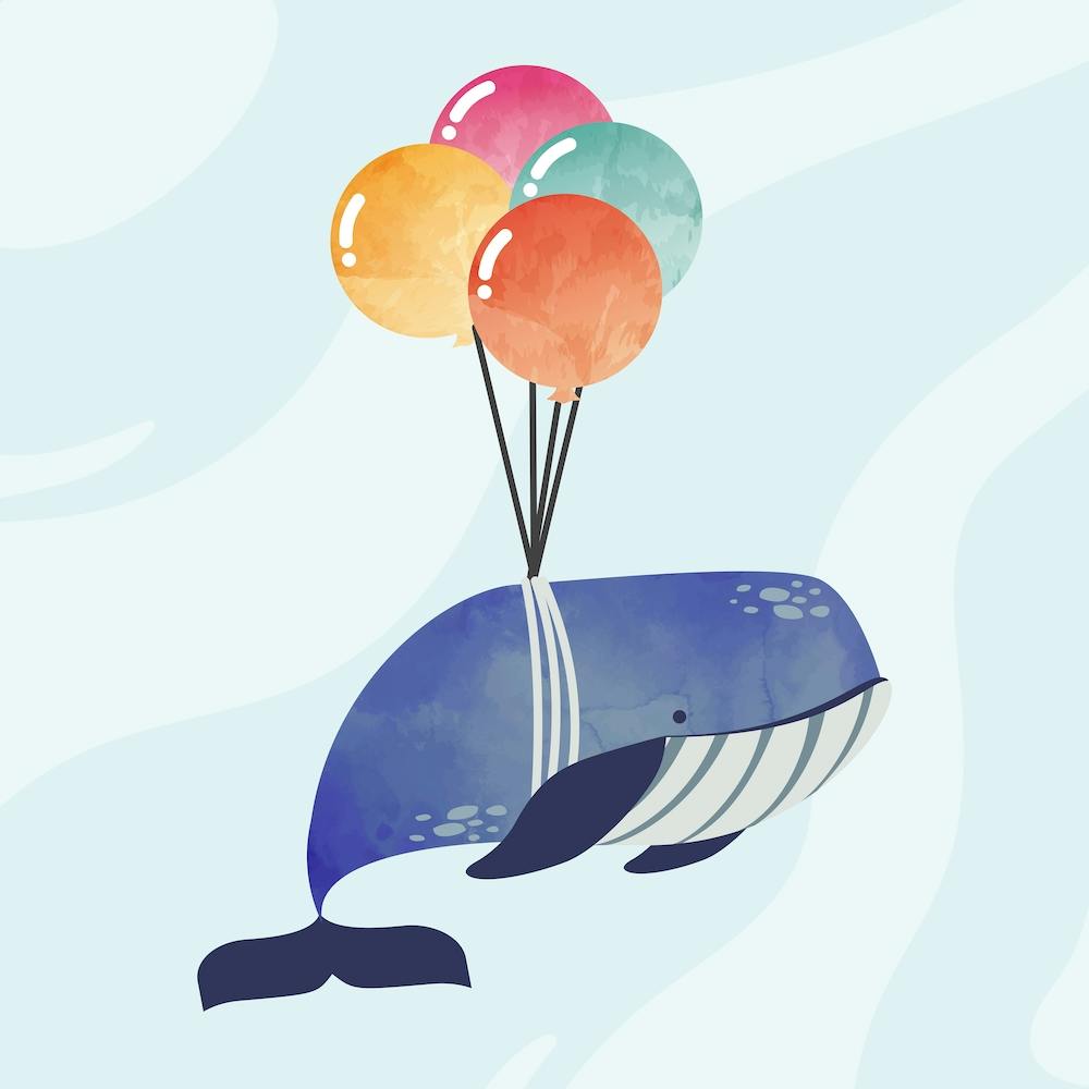 When Whales Fly Square