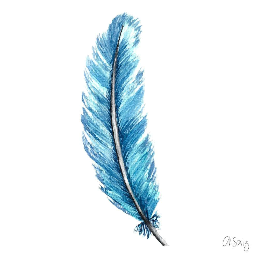 Blue Feather
