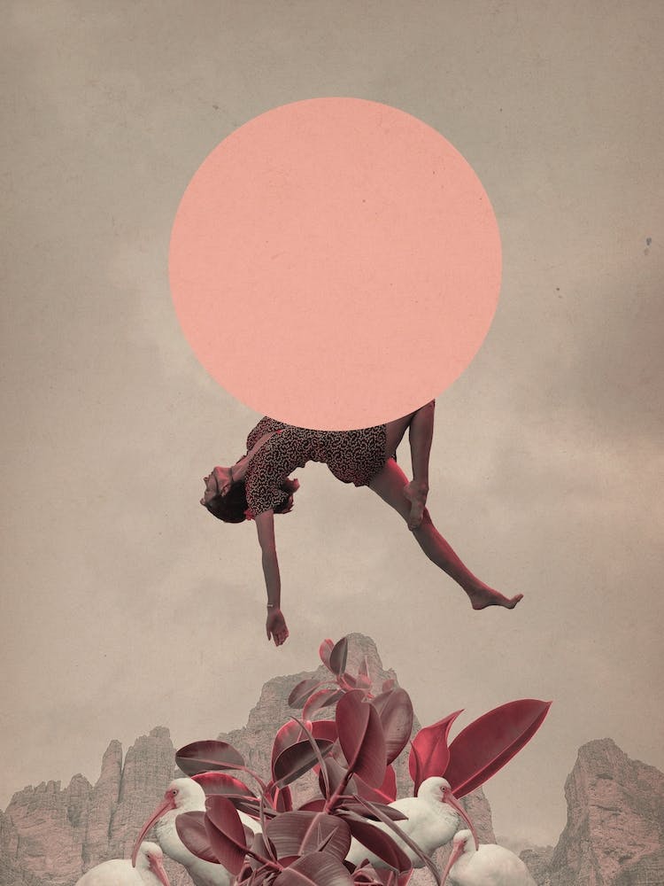 The Fall