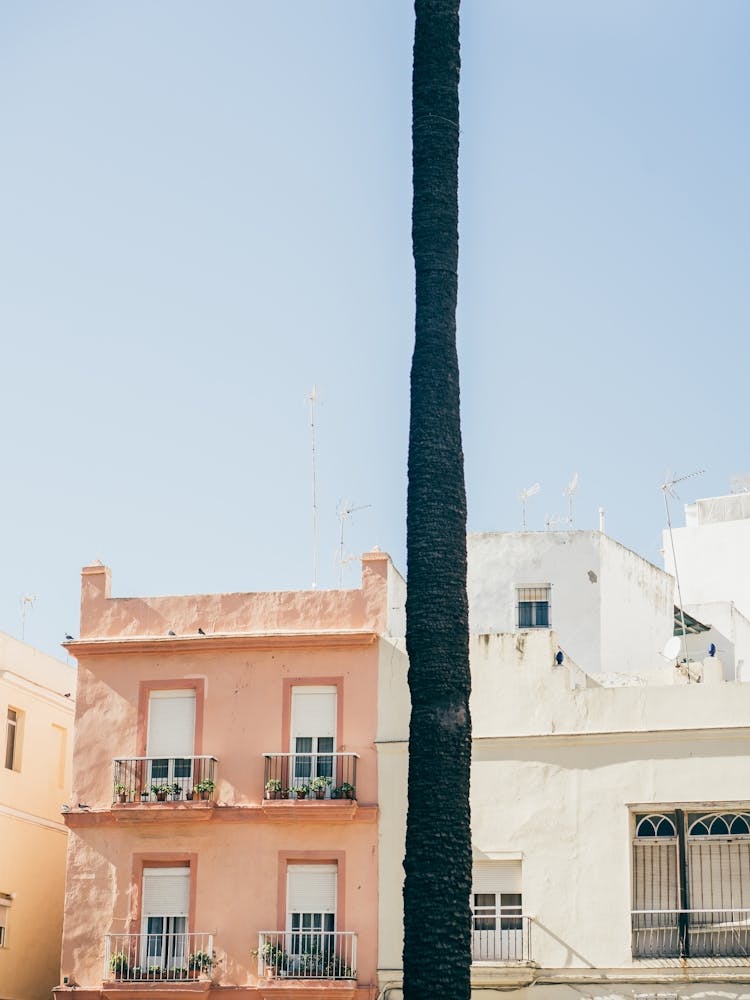Pastel Houses in Two
