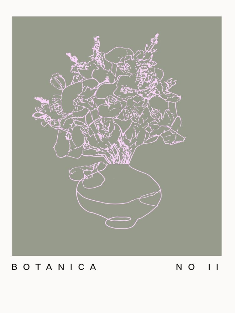 Botanica line no 42