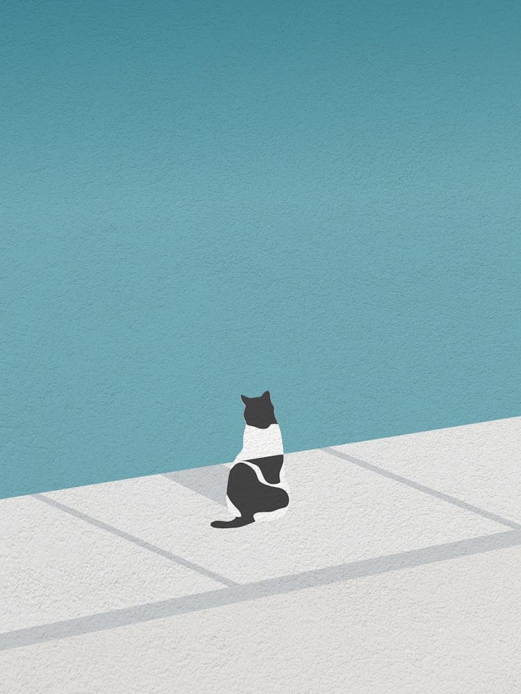Minimal art Cat Sitting By The Pool